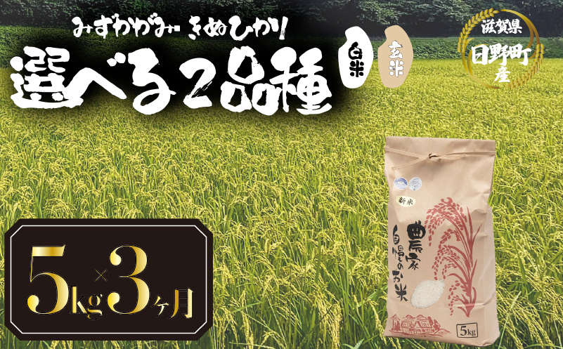 令和8年産 品種 みずかがみ きぬひかり 定期便 5kg